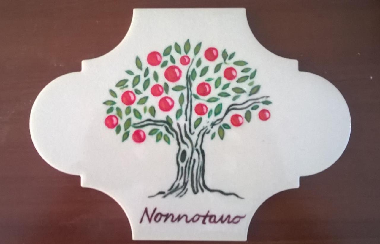 نوشيرا تيرينيزي B&B Nonnotano المظهر الخارجي الصورة