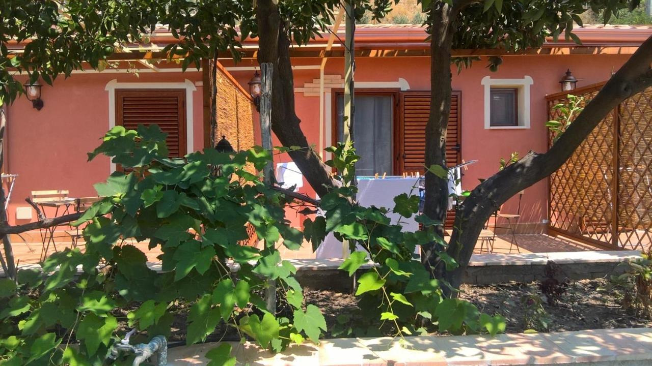 نوشيرا تيرينيزي B&B Nonnotano المظهر الخارجي الصورة